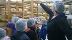 Το Νηπιαγωγείο στο Τυροκομείο «Παντελή»