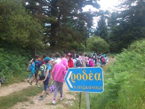 Τα περάσαμε…ΡΟΔΕΑ!