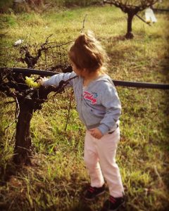 Στο κτήμα Γουρδούπη