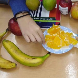 Οικιακή Οικονομία και Διατροφή