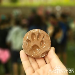 Δρω – Ίχνη στο Δάσος