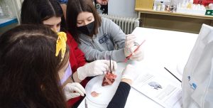 Πειράματα Βιολογίας και Φυσικής στο ΕΚΦΕ