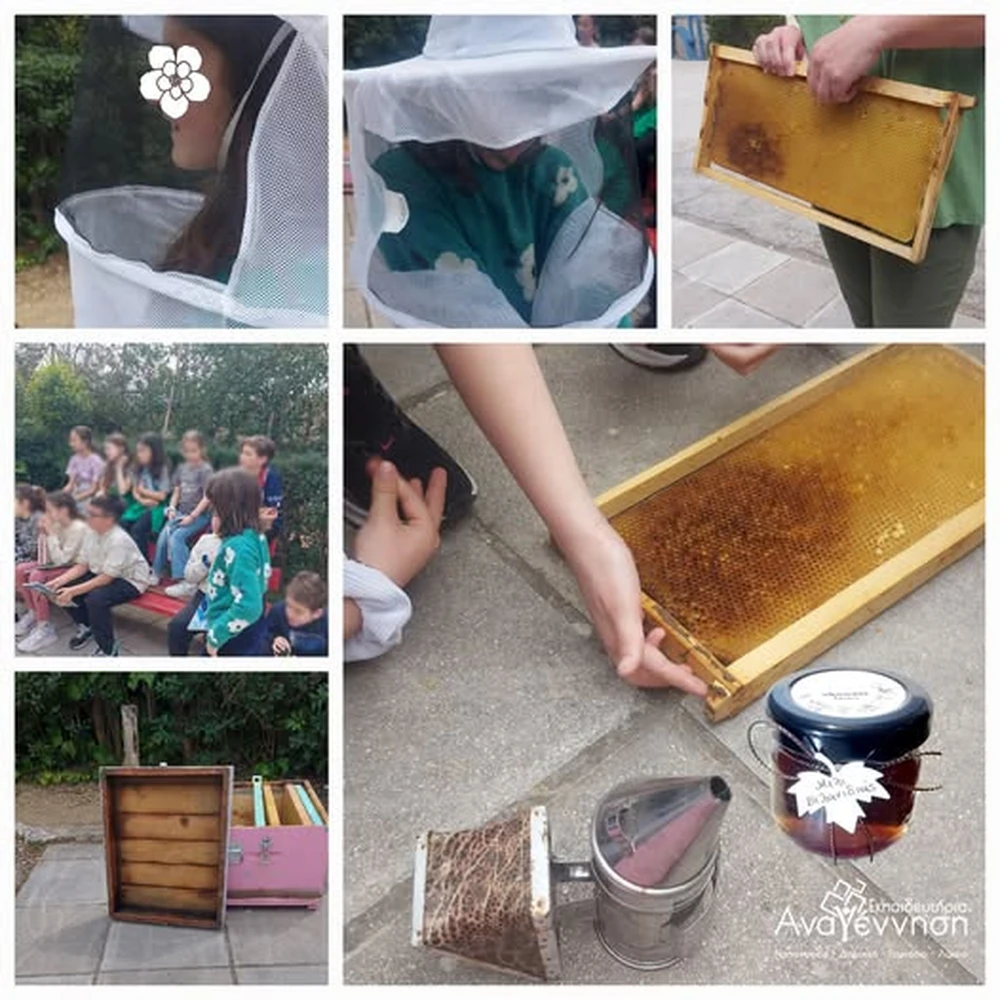 Δ’ Δημοτικού. Η μαγεία της μέλισσας στο σχολείο μας!