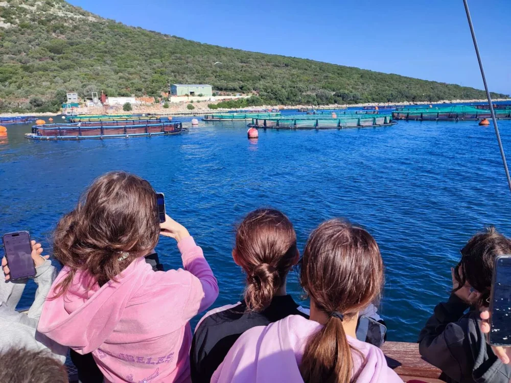 Περιβαλλοντική ομάδα Γυμνασίου Με τα δελφίνια του Αμβρακικού!