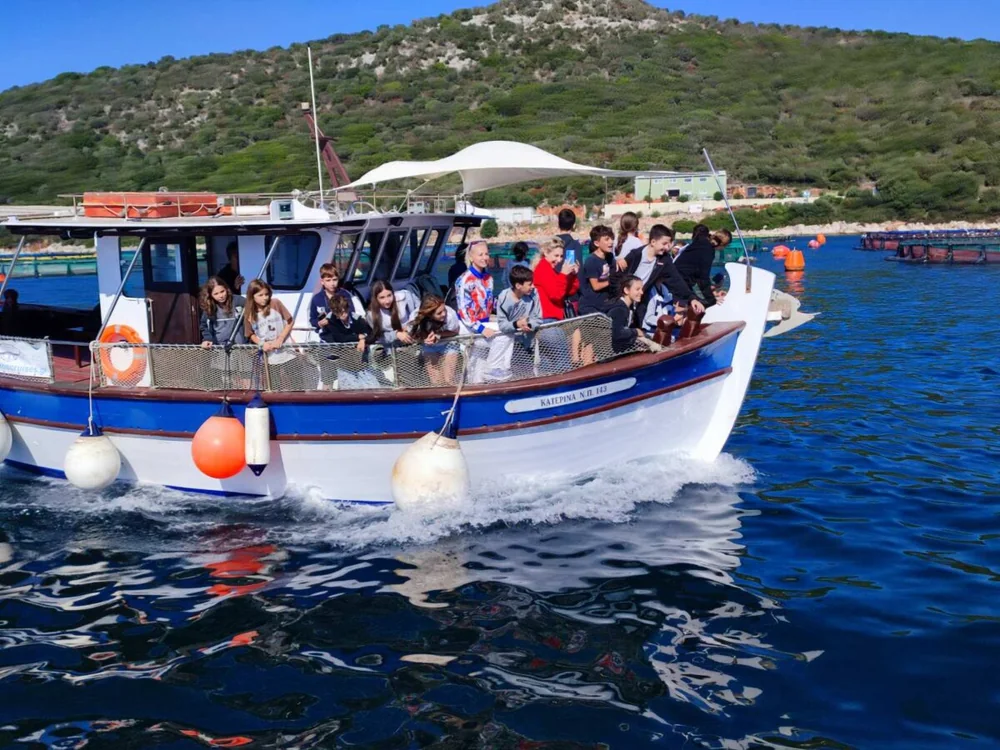 Περιβαλλοντική ομάδα Γυμνασίου Με τα δελφίνια του Αμβρακικού!